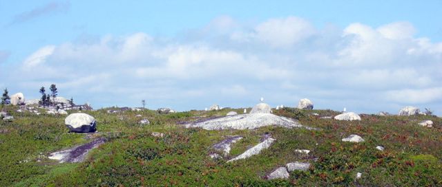 Peggy's Cove-11