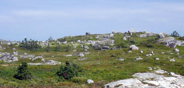 Peggy's Cove-12